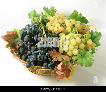 Uve assortite Foto Stock