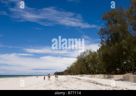 La spiaggia di Diani vicino a Mombasa Kenya Foto Stock