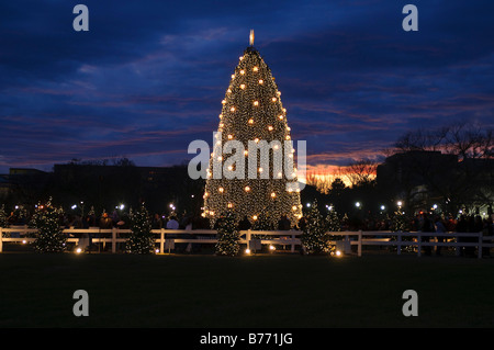La Nazionale di albero di Natale sull'ellisse in Washington DC scattata di notte Foto Stock