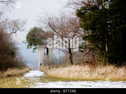 La torre Boxhill Surrey UK Europa Foto Stock