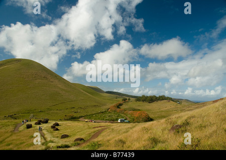 Puna Pau è una cava in un piccolo cratere fonte di red le scorie che il Rapanui utilizzati per scolpire i pukao Foto Stock