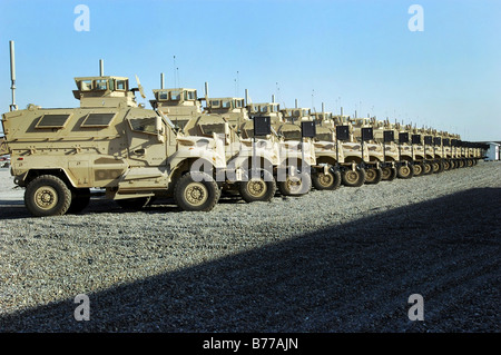 Resistente alla miniera agguato veicoli protetti sedersi a Camp Liberty. Foto Stock