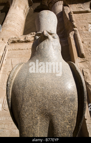 Horus statua presso il Tempio di Horus in Edfu, Valle del Nilo in Egitto. Foto Stock