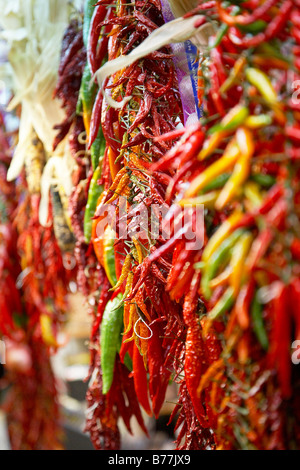 Peperoncini essiccati appesi al mercato coperto appena fuori La Rambla high street a Barcellona,Spagna Foto Stock