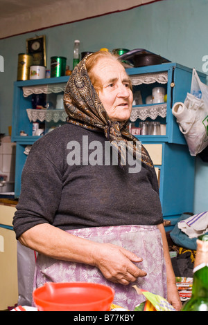 Ritratto di donna rumena indossando un velo in Bezded, Salaj, Transilvania, Romania, Europa Foto Stock