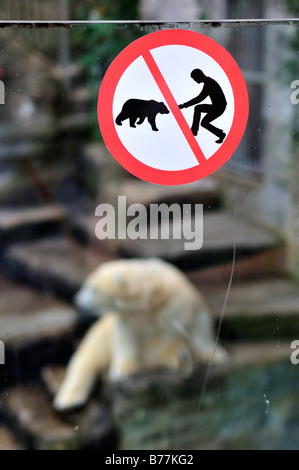 Porta di alimentazione vietato firmare su un orso polare contenitore (Ursus maritimus), in Tierpark Schoenbrunn, Vienna, Austria, Europa Foto Stock