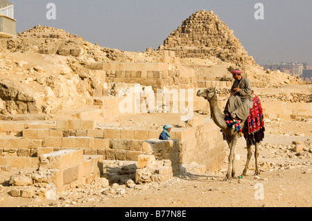 Cameleer vicino alle piramidi di Giza in Egitto, Africa Foto Stock