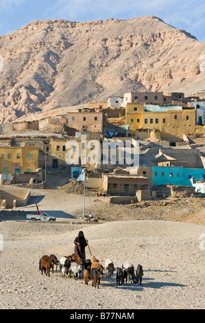 Capra herder presso un villaggio nella zona ovest di Tebe, Luxor, Egitto, Africa Foto Stock