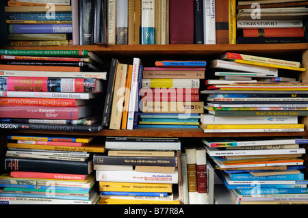 Scaffali pieni di libri antiquario Foto Stock