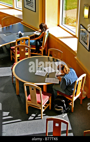 Due donne gli studenti a studiare in biblioteca Oregon State University di Corvallis Oregon Foto Stock