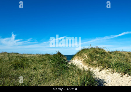 Dune percorso che conduce alla spiaggia la baia di Cape Cod Crosby Beach Foto Stock
