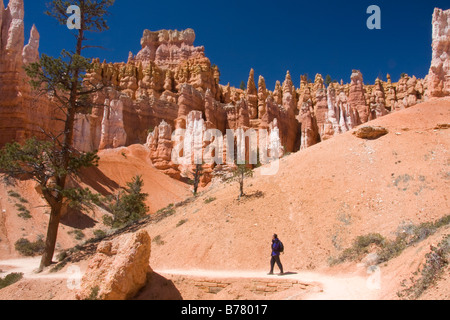 Un escursionista gode di viste dal Queens Garden Trail nel anfiteatro Bryce Bryce Canyon National Park nello Utah Foto Stock