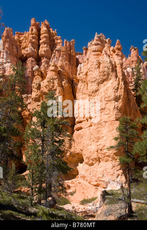 Hoodoos in Queens Garden Anfiteatro Bryce Bryce Canyon National Park nello Utah Foto Stock