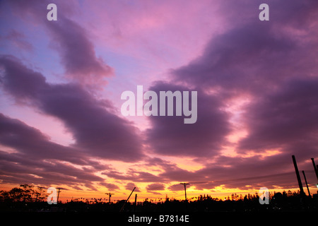 Tramonto nuvole viola pali telefonici silhouette big sky drammatico sky meteo Foto Stock