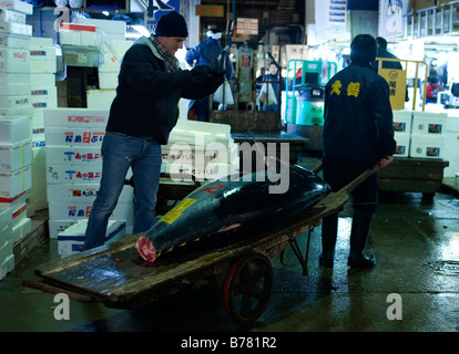 Tourist prende fotografia di tonno al Tokyo il Mercato del Pesce di Tsukiji Tokyo Metropolitan Central Wholesale Market Foto Stock