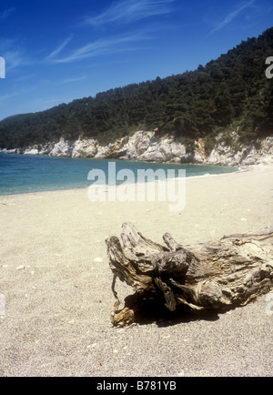 Kastani Beach sull'isola greca di Skopelos, Sporadi, Grecia Foto Stock