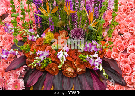 Protea freschi di fiori tropicali, arancione scuro rosa rosa Rose ecuadoriana di mais di rame il giorno di San Valentino Bird del Battistero fiori misti Foto Stock