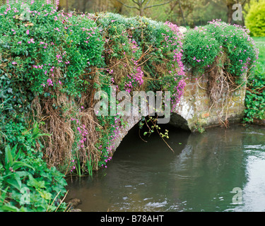 Il vecchio ponte di pietra sul fiume di piccole dimensioni Foto Stock