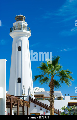 Faro e palmtree con un bel cielo azzurro a sharm el sheikh egitto Foto Stock