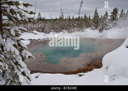 Molla di smeraldo, Norris Geyser Basin, inverno, il Parco Nazionale di Yellowstone, Wyoming. Foto Stock