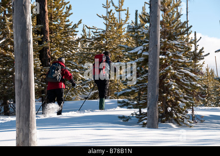 I fondisti sul sentiero, l'inverno. Upper Geyser Basin nei pressi della vecchia fedele, il Parco Nazionale di Yellowstone, Wyoming. Foto Stock