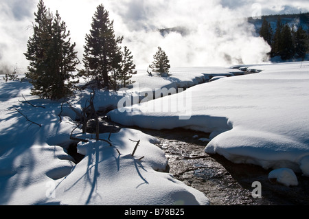 Taglio di flusso attraverso un prato, inverno, Upper Geyser Basin nei pressi della vecchia fedele, il Parco Nazionale di Yellowstone, Wyoming. Foto Stock