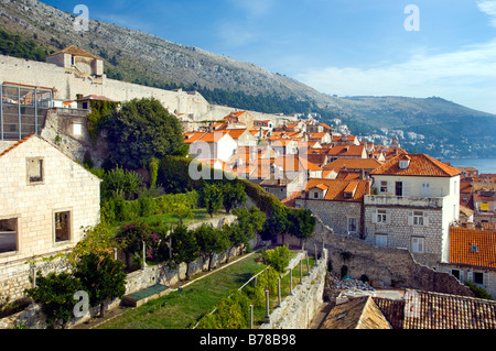 La orange tetti della città vecchia di Dubrovnik come visto dalle mura della città Foto Stock