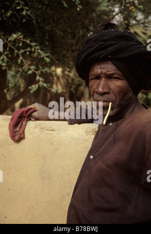 Vicino a Niamey, Niger. Fulani agricoltore usa un bastone da masticare per pulire i suoi denti. Foto Stock