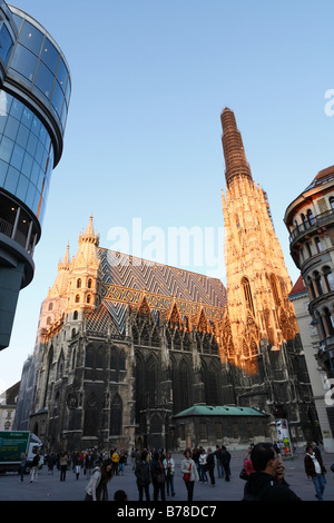 Stephansdom, Stefansdom, la cattedrale di Santo Stefano a Vienna, in Austria, Europa Foto Stock