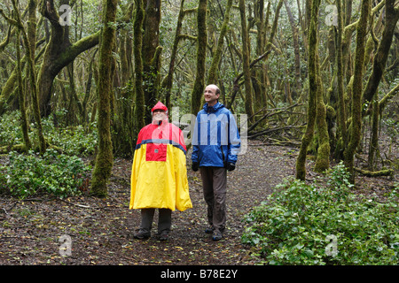 Gli escursionisti indossando mantelli di pioggia in una nube foresta, Parco Nazionale di Garajonay, La Gomera, isole Canarie, Spagna, Europa Foto Stock