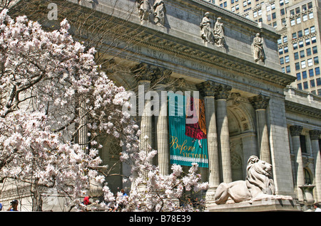 New York Public Library Fifth Avenue di New York City Foto Stock