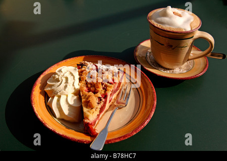 Torta di prugne e crema su una piastra con una tazza di cappuccino, Neusles, Alta Franconia, Baviera, Germania, Europa Foto Stock