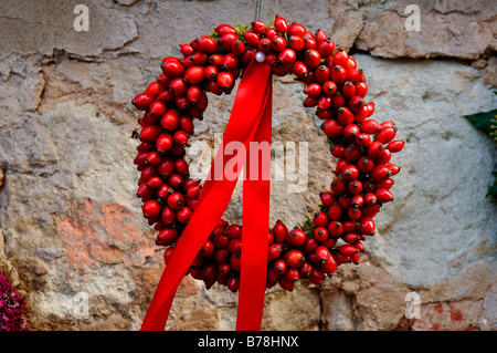 Ghirlanda di rosa canina (Rosa canina) hips con un nastro rosso, Wachenroth, Media Franconia, Baviera, Germania, Europa Foto Stock