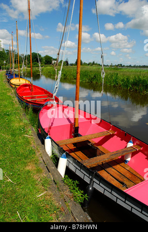 Barche colorate in verde paesaggio tra Gouda, Bodegraven, Reeuwijk e Oudewater, Reeuwijkse Plassen, South-Holland, Zu Foto Stock