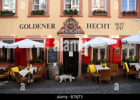Goldener Hecht Ristorante con specialità austriache, tavoli fuori, facciata, entrata principale, il centro storico di Heidelberg, Necka Foto Stock