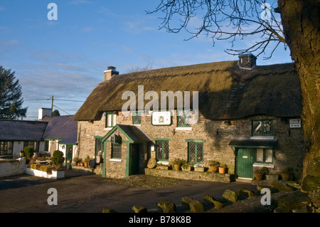 Il White Hart Inn Llanddarog una pietra con il tetto di paglia costruito pub in un piccolo borgo rurale, Carmarthenshire Galles Foto Stock