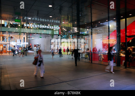 Fuenf Hoefe, architettura moderna con diversi negozi esclusivi e passaggi d'arte, il centro città di Monaco di Baviera, Baviera, Baviera, Foto Stock
