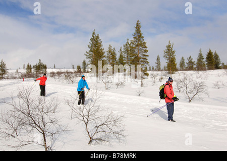 Sci nordico, i fondisti Urho Kekkonen Nationalpark, Kiilopaeae, Ivalo, Lapponia, Finlandia, Europa Foto Stock