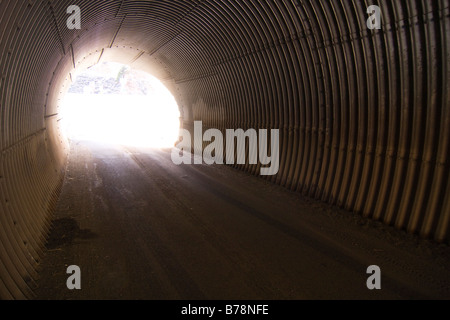 Un uomo che corre attraverso un tunnel a Reno in Nevada Foto Stock