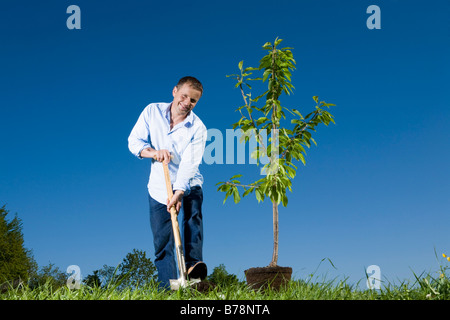 Giovane uomo di piantare un piccolo albero Foto Stock