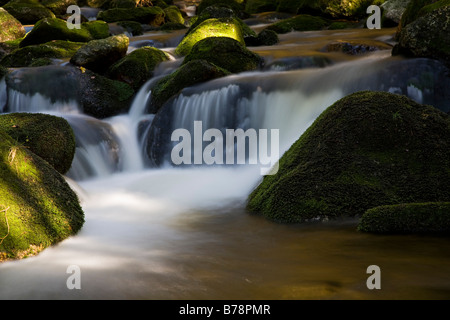 Germania Foresta Bavarese, Kleine Ohe, Cascata Foto Stock