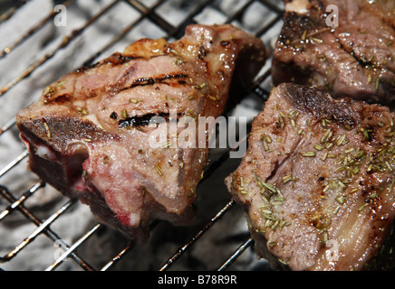 Costolette di agnello su un barbecue Foto Stock