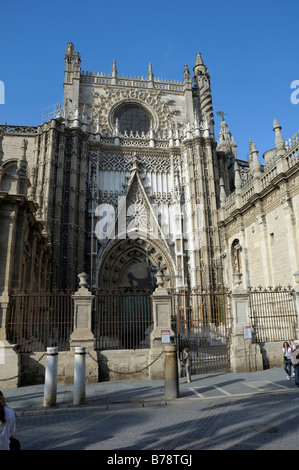 Catedral de Santa Maria de la sede, la cattedrale, Sevilla, Andalusia, Spagna, Europa Foto Stock