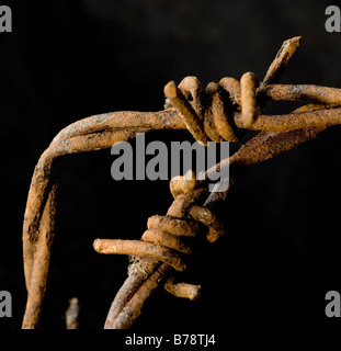 In prossimità delle due sezioni di twisted, rusty Il Filo spinato Foto Stock