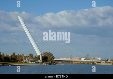 Puente del Alamillo, ponte Alamillo, Siviglia, Andalusia, Spagna, Europa Foto Stock