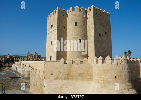 Torre de la Calahorra Tower, Cordoba, Andalusia, Spagna, Europa Foto Stock