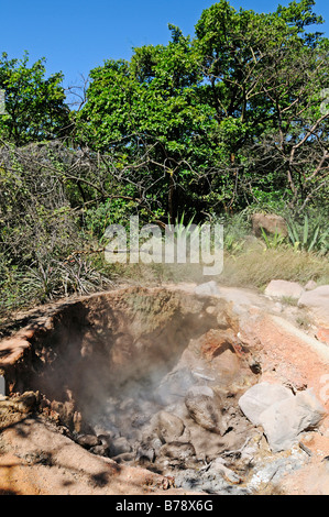 Zolfo vulcanico molla del Rincon de la Vieja National Park, Costa Rica, America Centrale Foto Stock