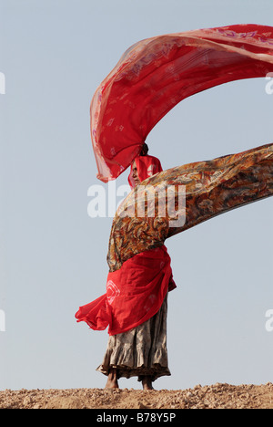 Donna sari di essiccazione, Ram Devra pellegrini festival, Ramdevra, Pokhran, Rajasthan, India del Nord, Asia Foto Stock