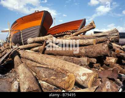 Due barche da pesca sul bosco litorale del mare Foto Stock