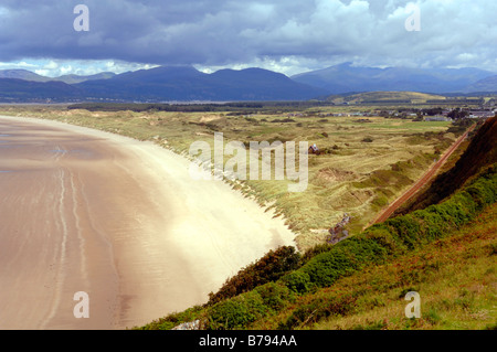 Morfa Harlech Riserva Naturale Nazionale, Gwynedd, Wales, Regno Unito, Europa Foto Stock